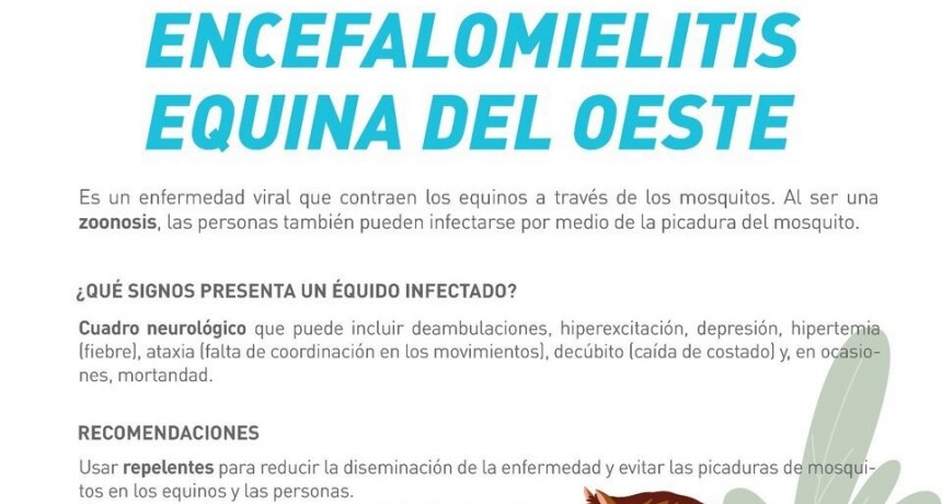 ENCEFALOMIELITIS EQUINA EN CAMPANA