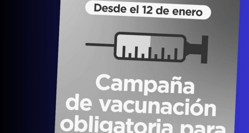 VACUNA CONTRA EL VIRUS SINCICIAL RESPIRATORIO