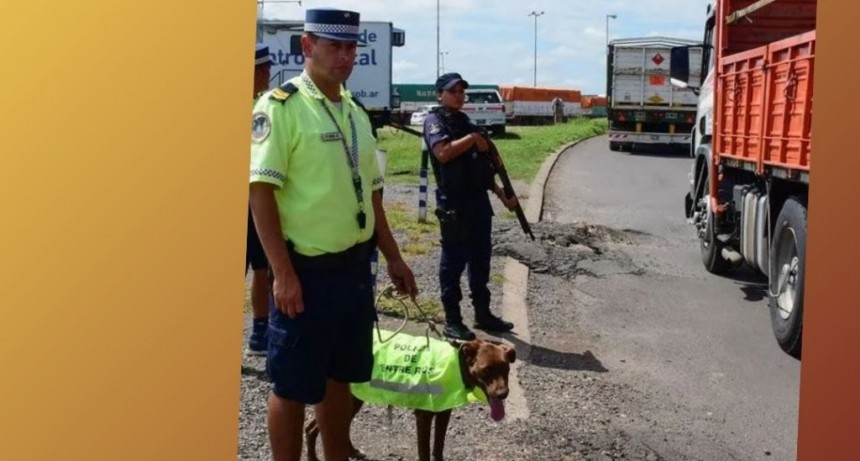 CAMPAÑA DE DIFUSIÓN Y PREVENCIÓN VIAL