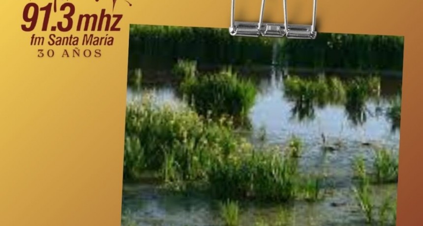 DÍA DE LOS HUMEDALES