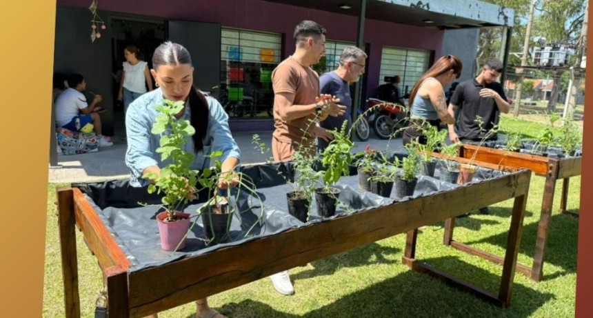 DONACI&Oacute;N DE HUERTAS