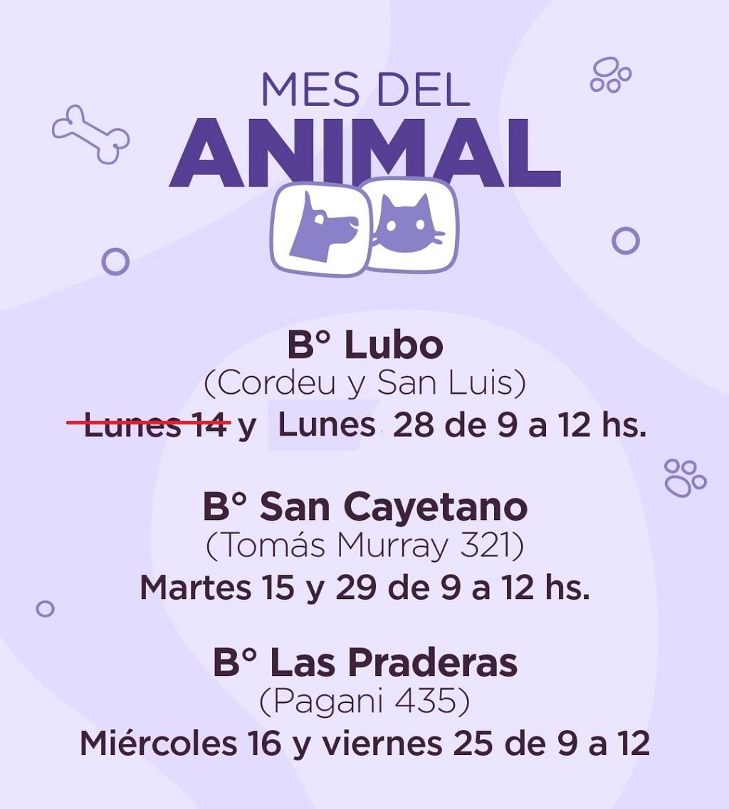MES DEL ANIMAL