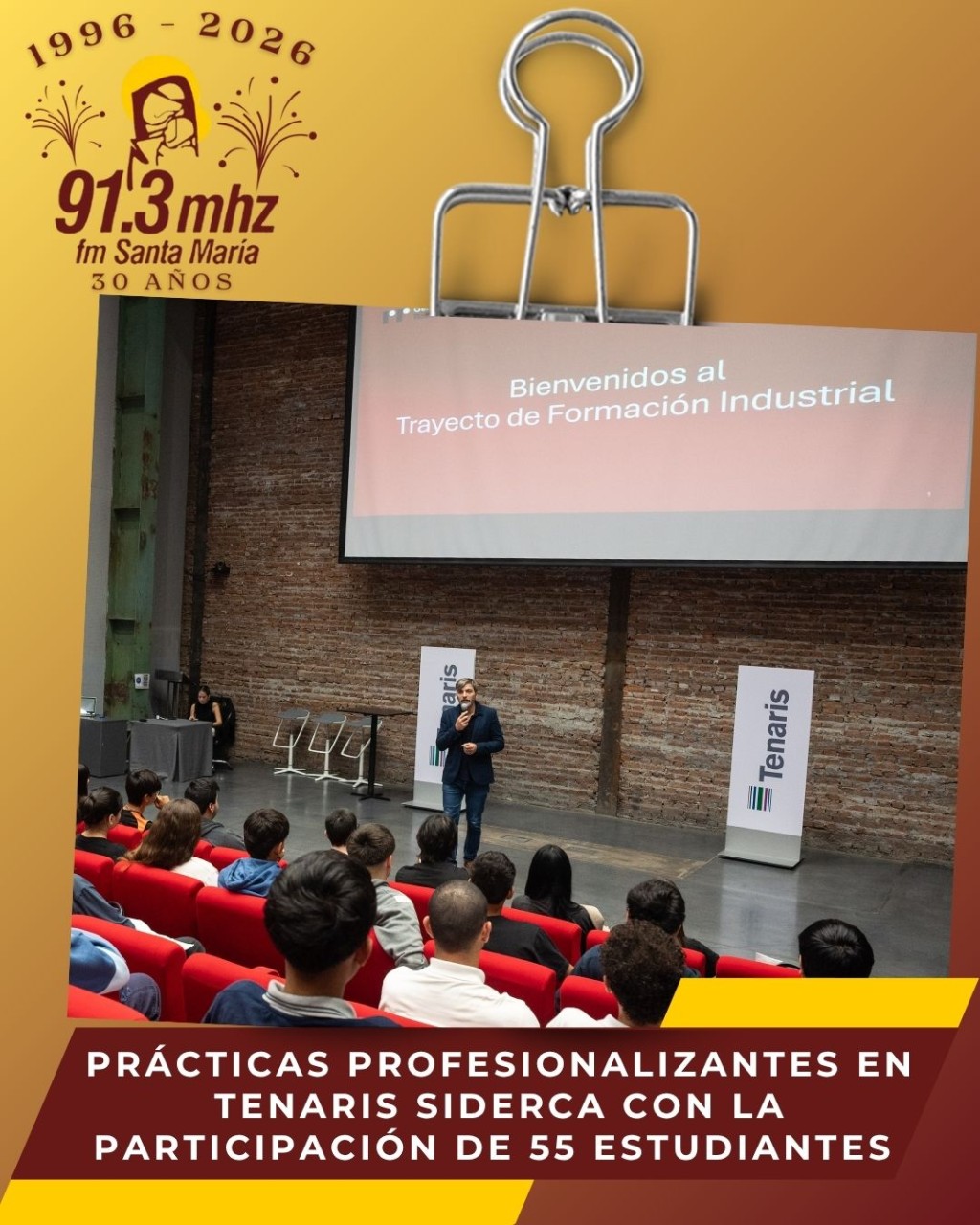 PR&Aacute;CTICAS PROFESIONALIZANTES