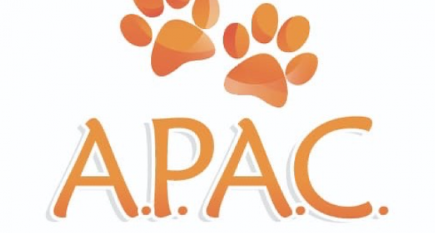 SIGUEN LOS TRABAJOS EN APAC