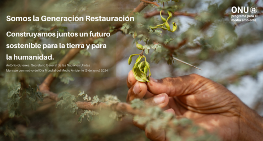 DÍA MUNDIAL DEL MEDIO AMBIENTE