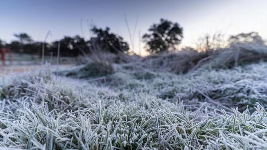 NIEVE EN CAMPANA