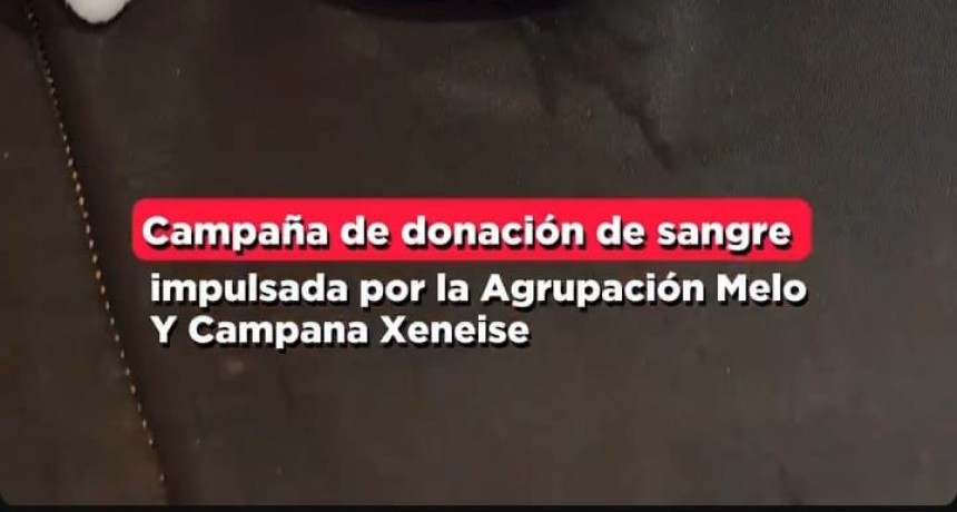 DONACIÓN VOLUNTARIA DE SANGRE