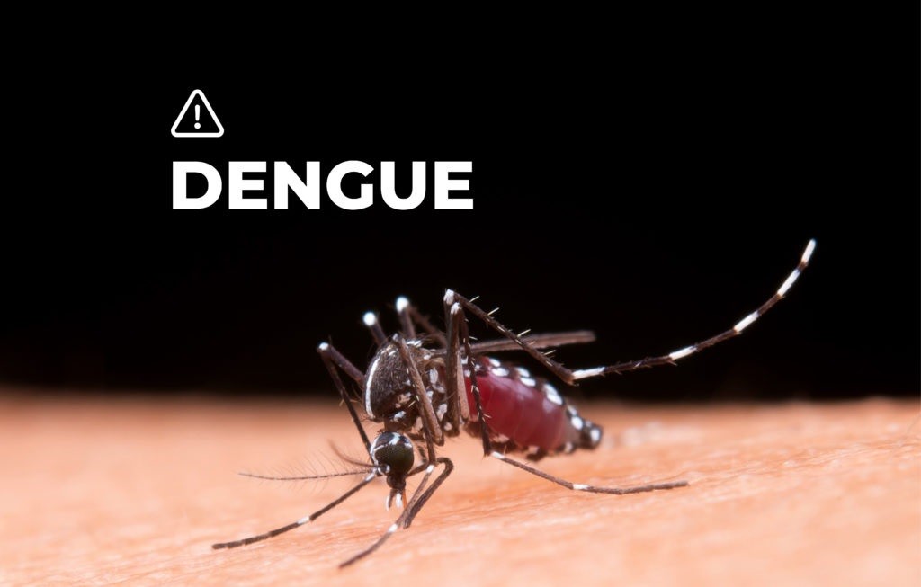 COMBATIR EL DENGUE