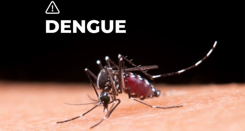 COMBATIR EL DENGUE