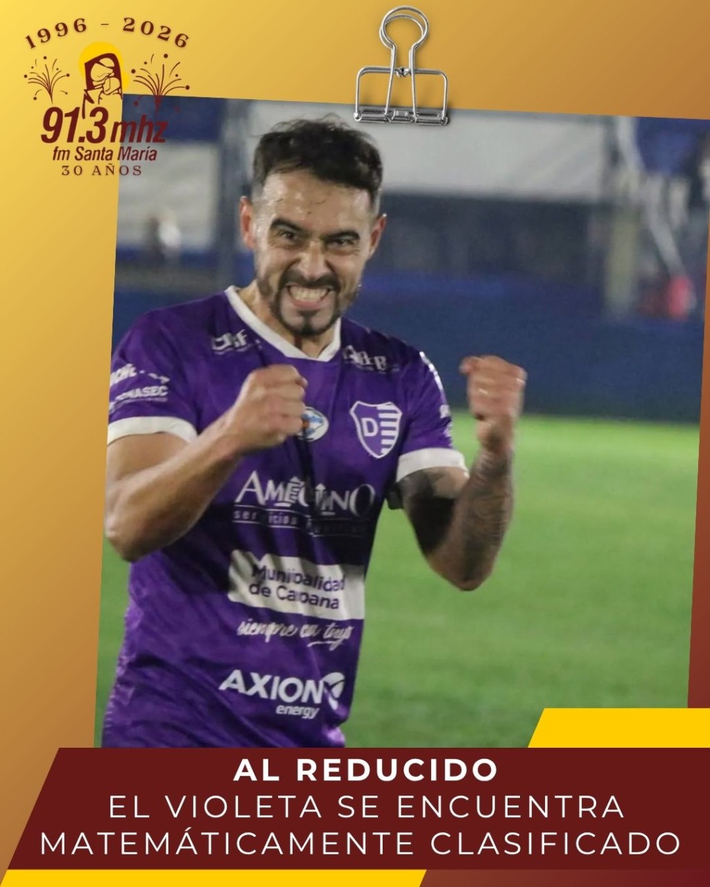 NOVEDADES VIOLETAS