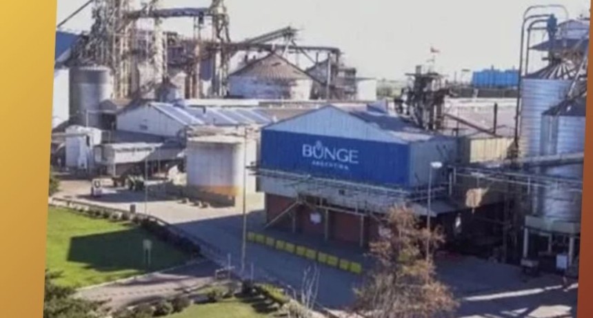 CIERRE Y DESPIDOS EN BUNGE